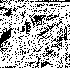 Select An Area